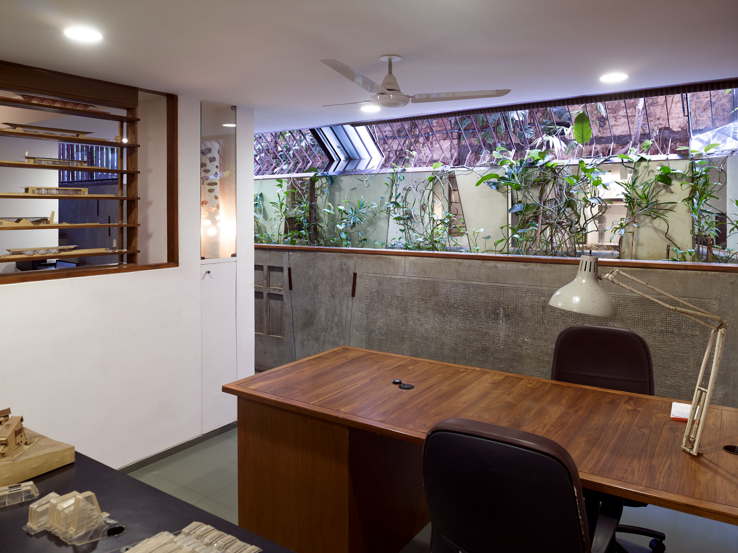 E14491 Alpa 042356 j2560